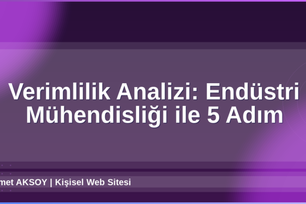 Verimlilik Analizi