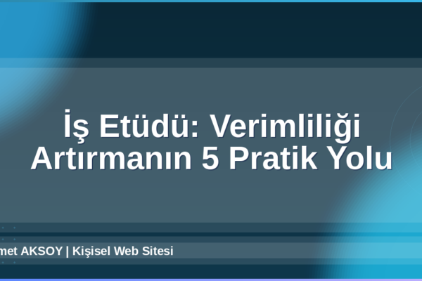 İş Etüdü