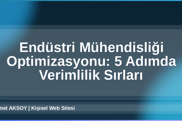 Endüstri Mühendisliği Optimizasyonu